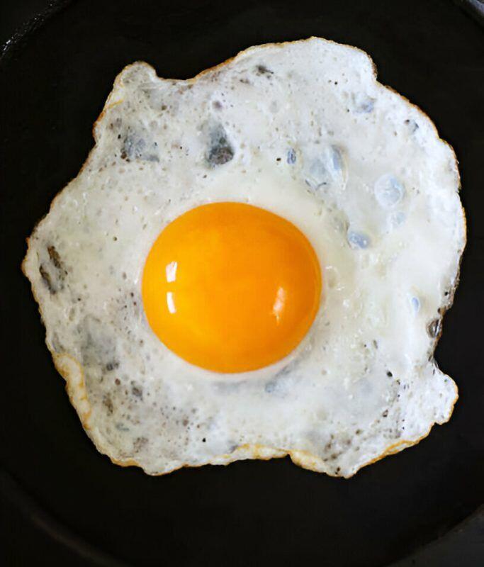 Egg (1)