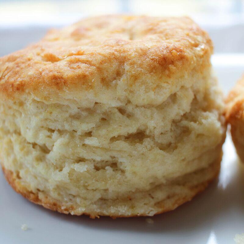 Biscuit (1)